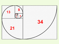 Fibonacci spiral