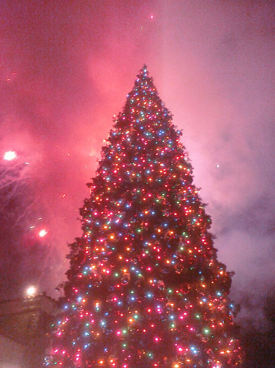Westlake Village Prominade's tree is lit!
