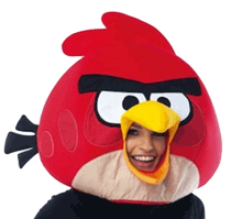 Angry Bird costume