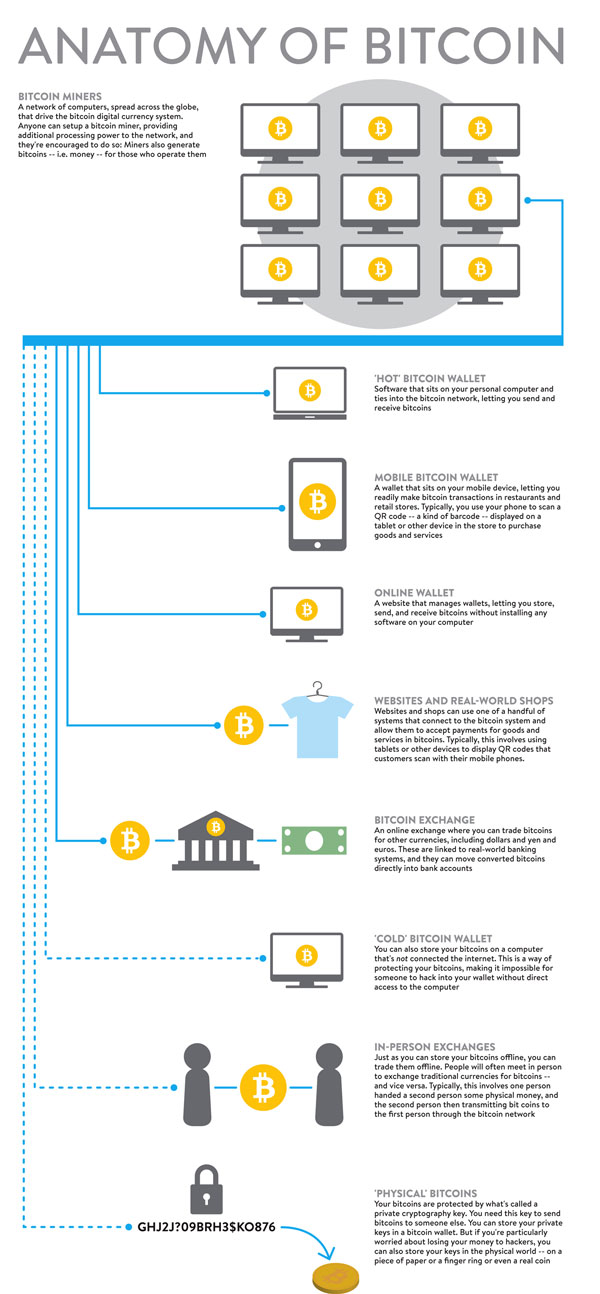 anatomy of bitcoin