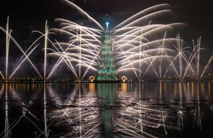 Rio's huge floating tree