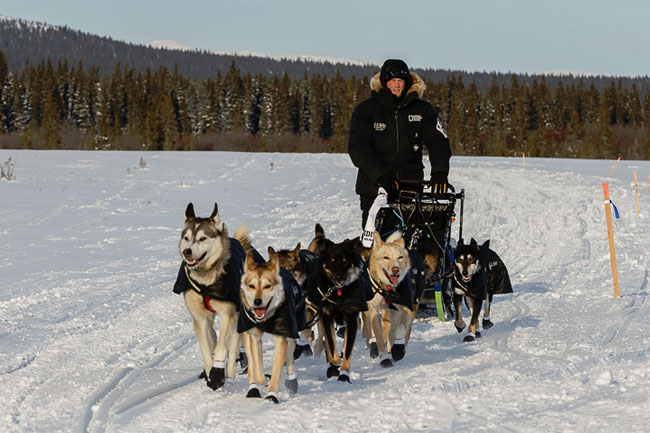 Dallas Seavey leaves White Mountain