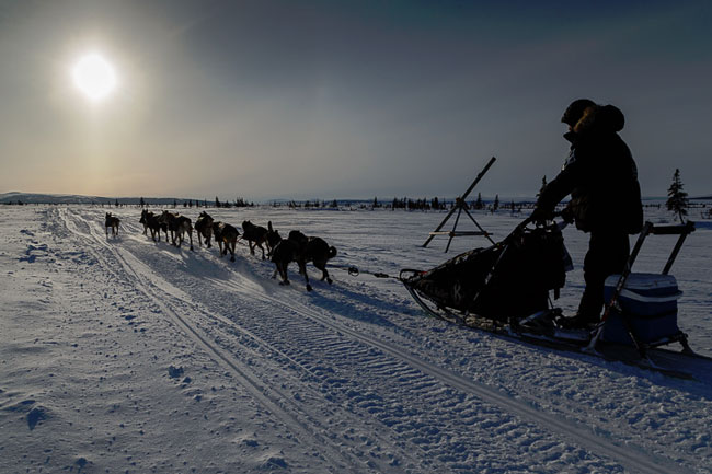 Dallas Seavey mushes into the sunset